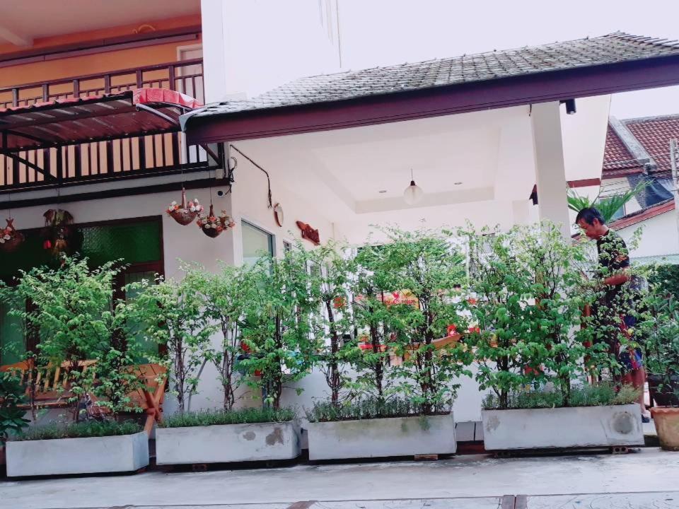 A.N. House Hotel Chiang Mai Eksteriør billede